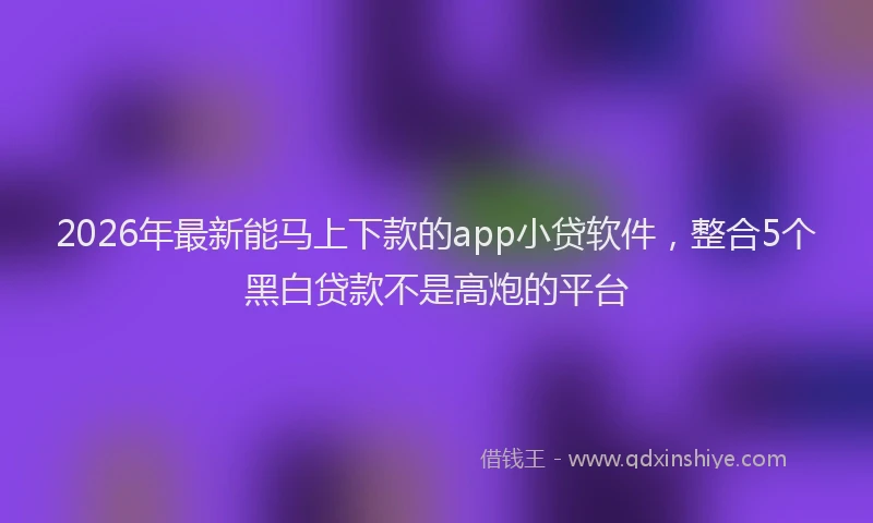 2026年最新能马上下款的app小贷软件，整合5个黑白贷款不是高炮的平台