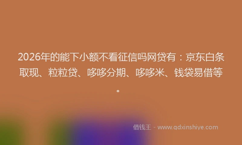 2026年的能下小额不看征信吗网贷有：京东白条取现、粒粒贷、哆哆分期、哆哆米、钱袋易借等。