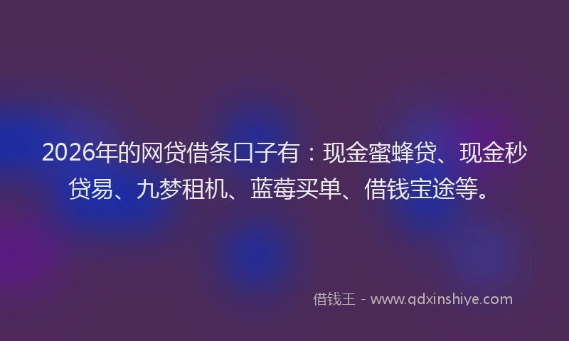 2026年的网贷借条口子有：现金蜜蜂贷、现金秒贷易、九梦租机、蓝莓买单、借钱宝途等。