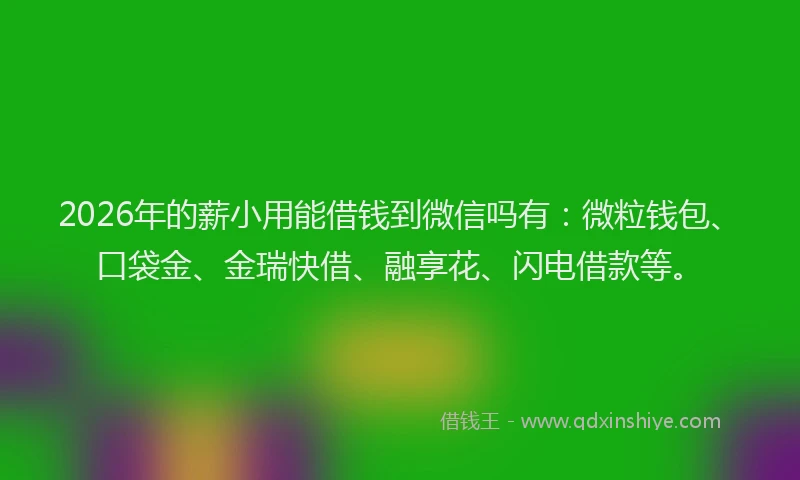 2026年的薪小用能借钱到微信吗有：微粒钱包、口袋金、金瑞快借、融享花、闪电借款等。