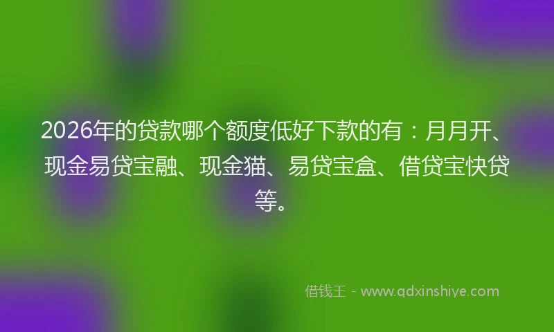 2026年的贷款哪个额度低好下款的有：月月开、现金易贷宝融、现金猫、易贷宝盒、借贷宝快贷等。