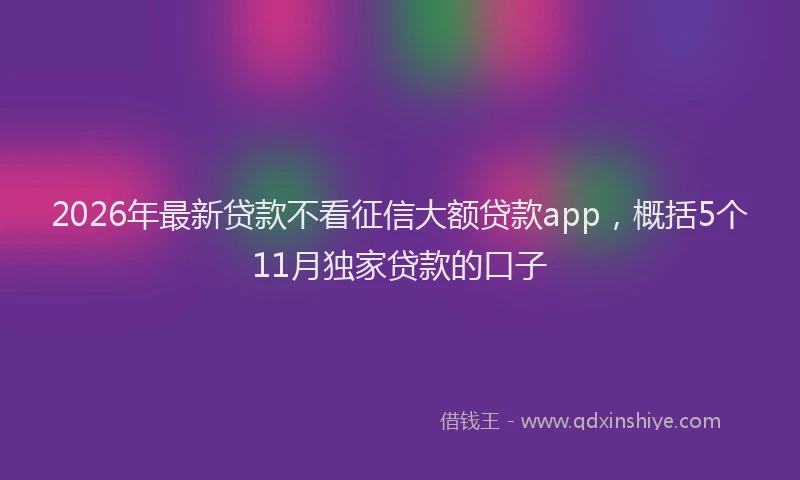 2026年最新贷款不看征信大额贷款app，概括5个11月独家贷款的口子