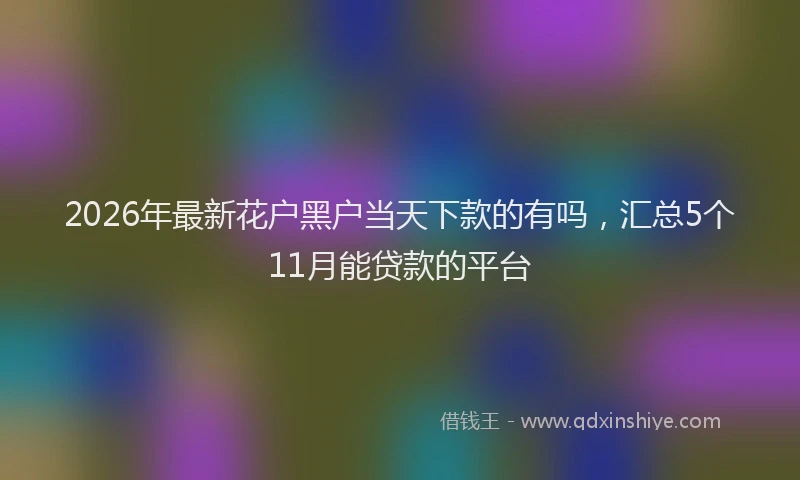 2026年最新花户黑户当天下款的有吗，汇总5个11月能贷款的平台