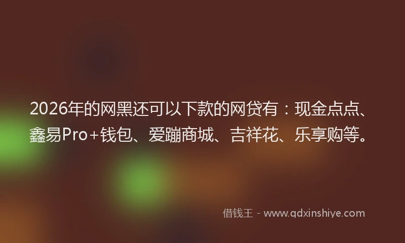 2026年的网黑还可以下款的网贷有：现金点点、鑫易Pro+钱包、爱蹦商城、吉祥花、乐享购等。