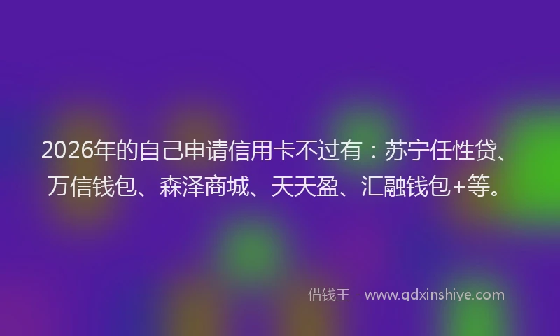 2026年的自己申请信用卡不过有：苏宁任性贷、万信钱包、森泽商城、天天盈、汇融钱包+等。