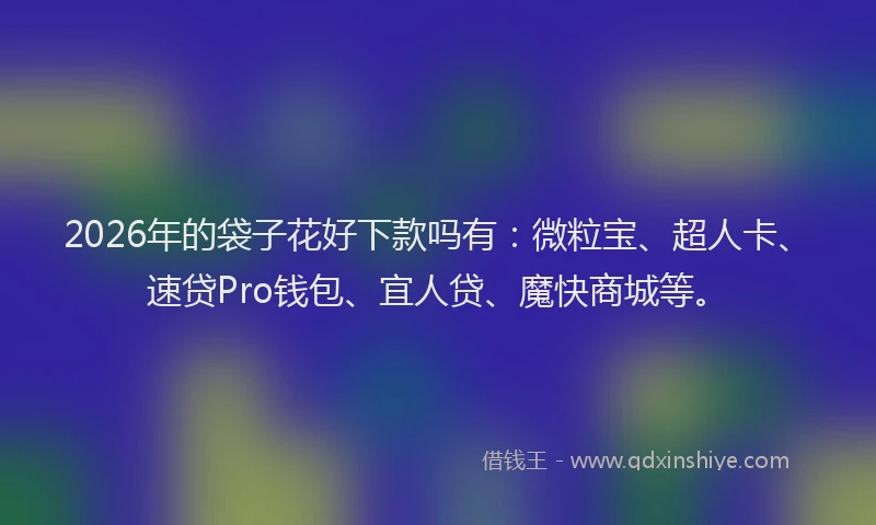 2026年的袋子花好下款吗有：微粒宝、超人卡、速贷Pro钱包、宜人贷、魔快商城等。