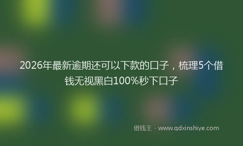 2026年最新逾期还可以下款的口子，梳理5个借钱无视黑白100%秒下口子