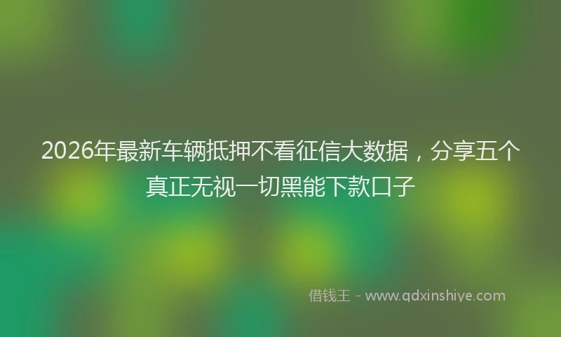2026年最新车辆抵押不看征信大数据，分享五个真正无视一切黑能下款口子