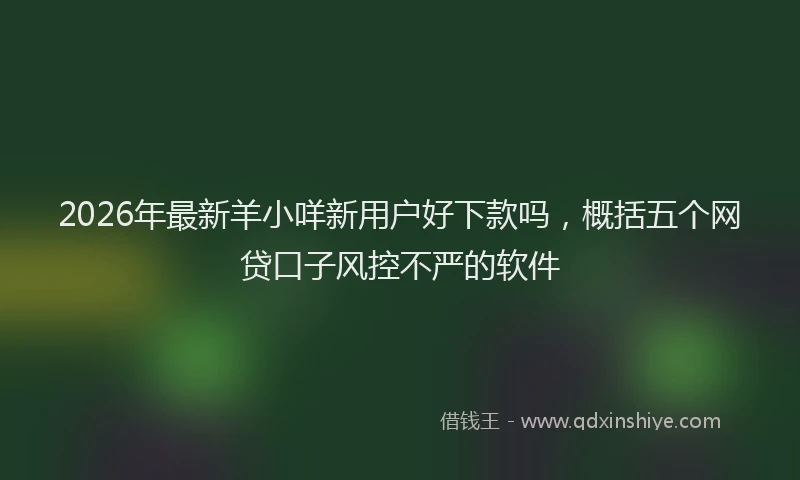 2026年最新羊小咩新用户好下款吗，概括五个网贷口子风控不严的软件
