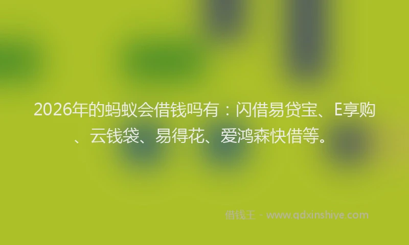2026年的蚂蚁会借钱吗有：闪借易贷宝、E享购、云钱袋、易得花、爱鸿森快借等。
