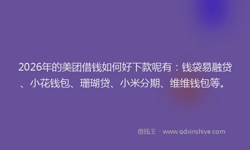 2026年的美团借钱如何好下款呢有：钱袋易融贷、小花钱包、珊瑚贷、小米分期、维维钱包等。