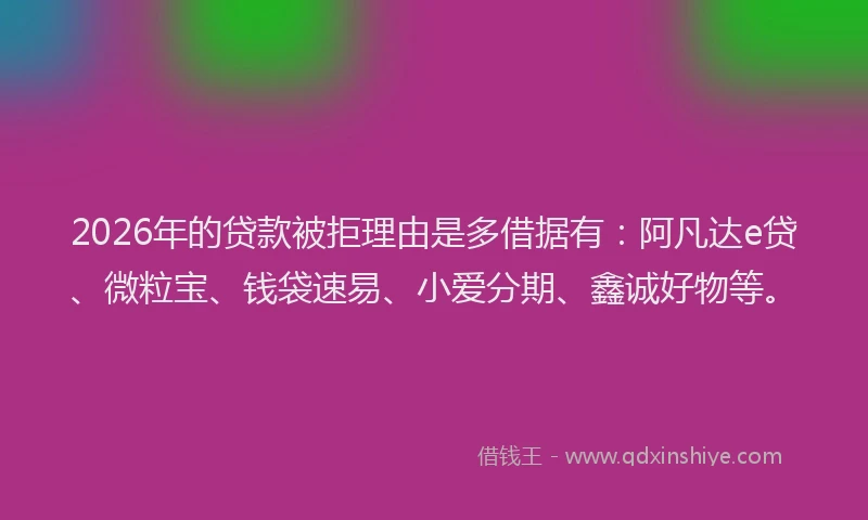 2026年的贷款被拒理由是多借据有：阿凡达e贷、微粒宝、钱袋速易、小爱分期、鑫诚好物等。