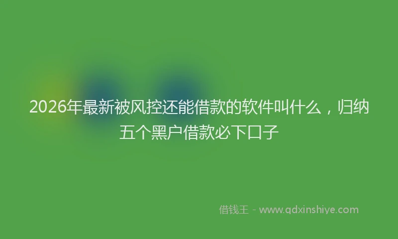2026年最新被风控还能借款的软件叫什么，归纳五个黑户借款必下口子