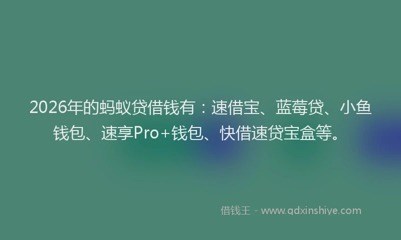 2026年的蚂蚁贷借钱有：速借宝、蓝莓贷、小鱼钱包、速享Pro+钱包、快借速贷宝盒等。