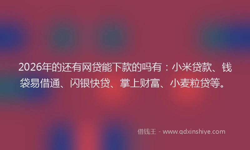 2026年的还有网贷能下款的吗有：小米贷款、钱袋易借通、闪银快贷、掌上财富、小麦粒贷等。