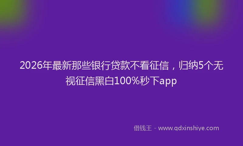 2026年最新那些银行贷款不看征信，归纳5个无视征信黑白100%秒下app