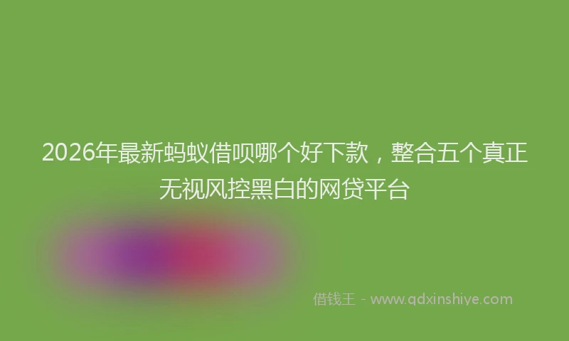 2026年最新蚂蚁借呗哪个好下款，整合五个真正无视风控黑白的网贷平台