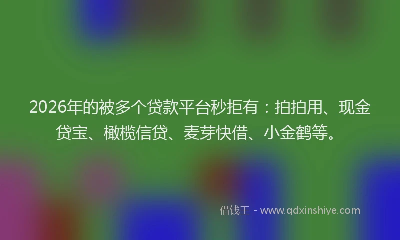 2026年的被多个贷款平台秒拒有：拍拍用、现金贷宝、橄榄信贷、麦芽快借、小金鹤等。