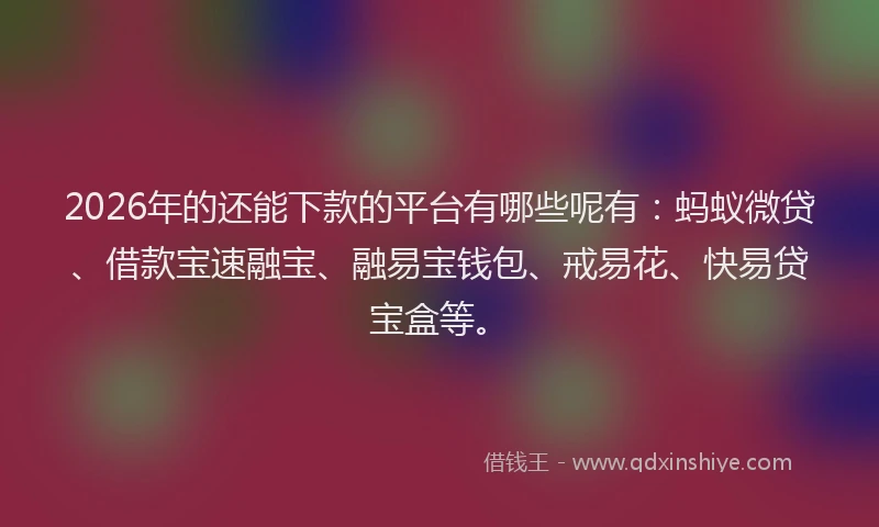 2026年的还能下款的平台有哪些呢有：蚂蚁微贷、借款宝速融宝、融易宝钱包、戒易花、快易贷宝盒等。