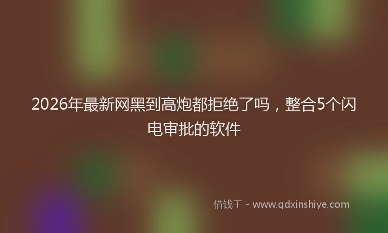 2026年最新网黑到高炮都拒绝了吗，整合5个闪电审批的软件