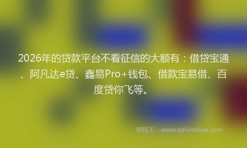 2026年的贷款平台不看征信的大额有：借贷宝通、阿凡达e贷、鑫易Pro+钱包、借款宝易借、百度贷你飞等。