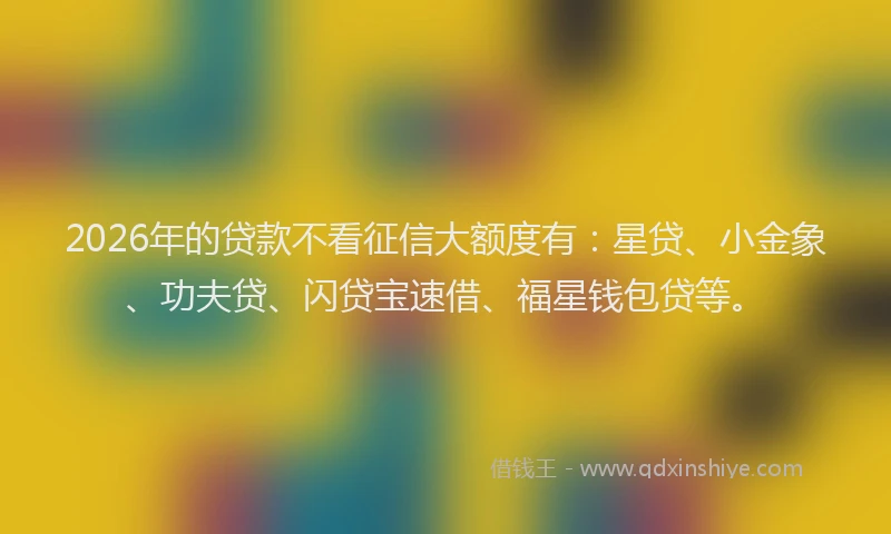 2026年的贷款不看征信大额度有：星贷、小金象、功夫贷、闪贷宝速借、福星钱包贷等。