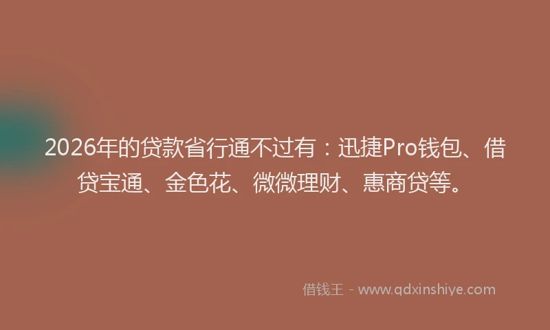2026年的贷款省行通不过有：迅捷Pro钱包、借贷宝通、金色花、微微理财、惠商贷等。