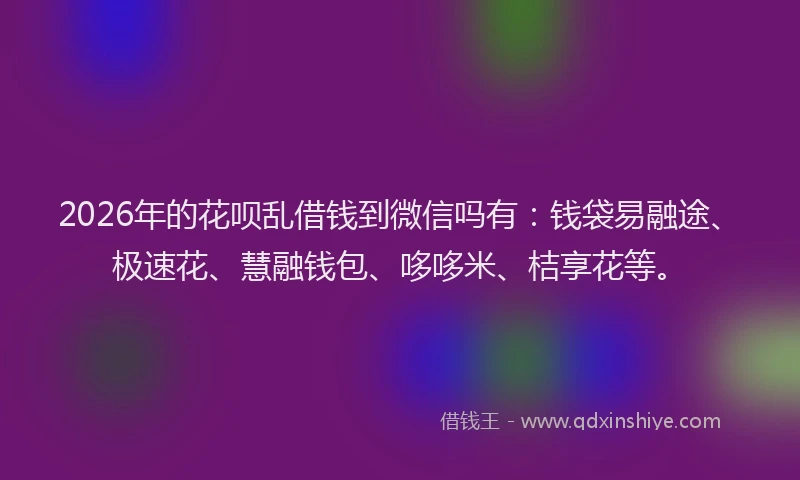 2026年的花呗乱借钱到微信吗有：钱袋易融途、极速花、慧融钱包、哆哆米、桔享花等。