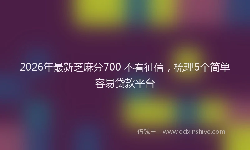 2026年最新芝麻分700 不看征信，梳理5个简单容易贷款平台