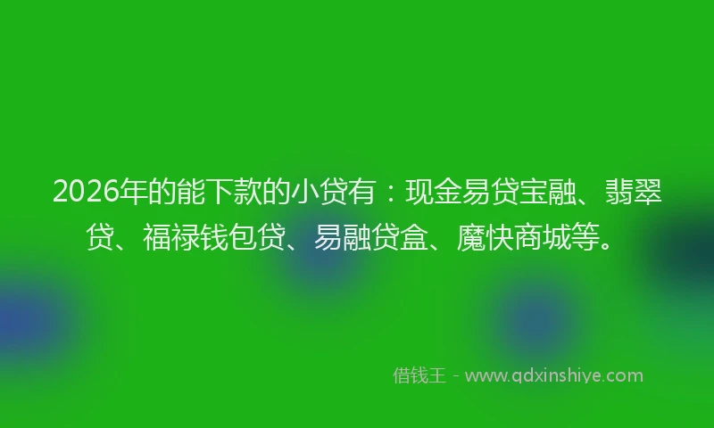 2026年的能下款的小贷有：现金易贷宝融、翡翠贷、福禄钱包贷、易融贷盒、魔快商城等。