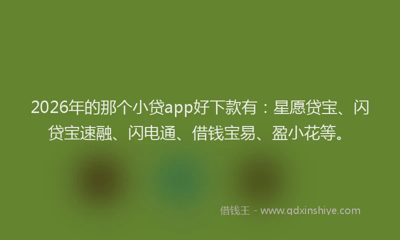 2026年的那个小贷app好下款有：星愿贷宝、闪贷宝速融、闪电通、借钱宝易、盈小花等。