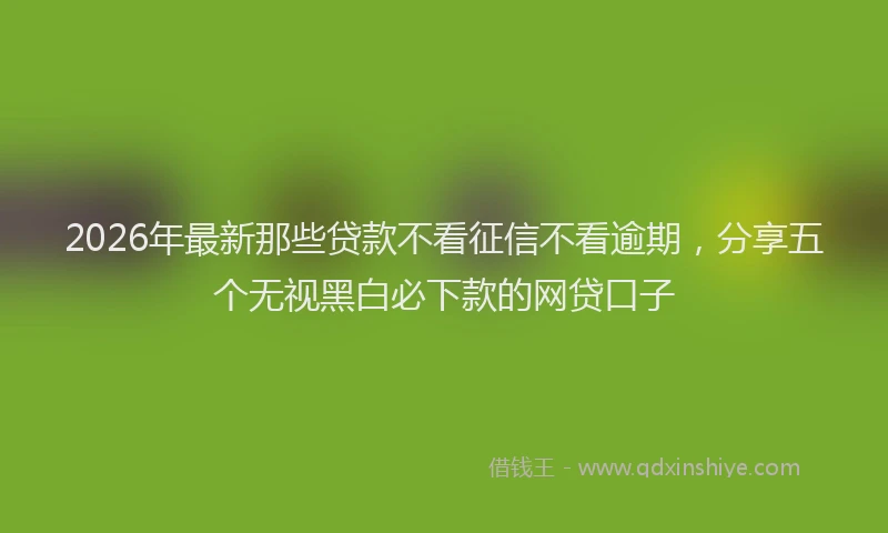2026年最新那些贷款不看征信不看逾期，分享五个无视黑白必下款的网贷口子