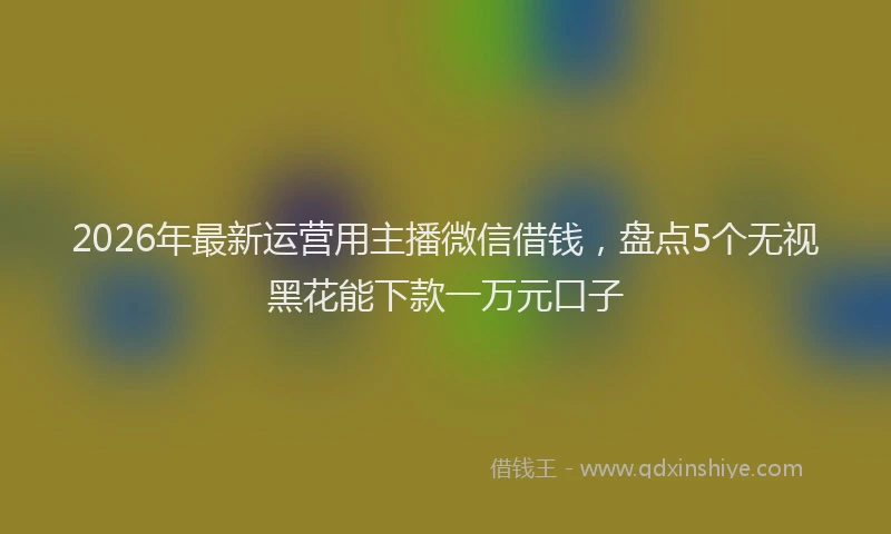2026年最新运营用主播微信借钱，盘点5个无视黑花能下款一万元口子