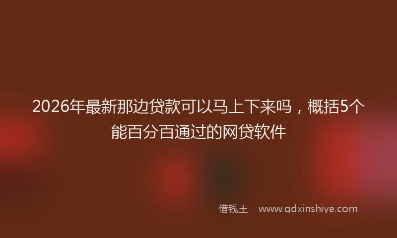 2026年最新那边贷款可以马上下来吗，概括5个能百分百通过的网贷软件