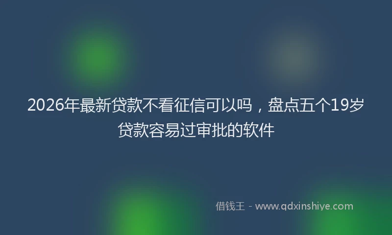 2026年最新贷款不看征信可以吗，盘点五个19岁贷款容易过审批的软件