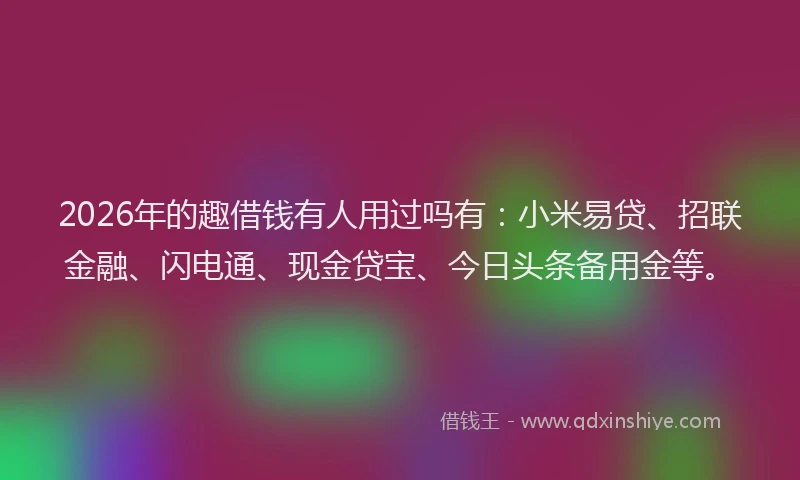 2026年的趣借钱有人用过吗有：小米易贷、招联金融、闪电通、现金贷宝、今日头条备用金等。