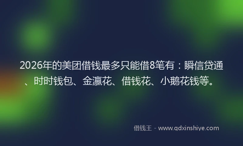 2026年的美团借钱最多只能借8笔有：瞬信贷通、时时钱包、金瀛花、借钱花、小鹅花钱等。