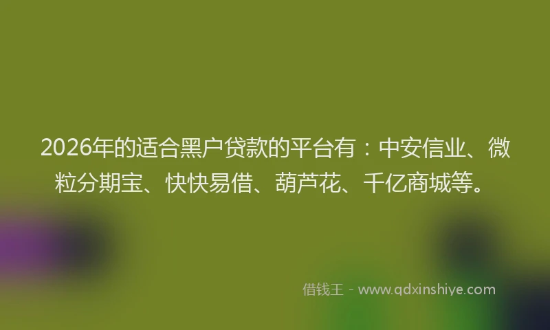 2026年的适合黑户贷款的平台有：中安信业、微粒分期宝、快快易借、葫芦花、千亿商城等。