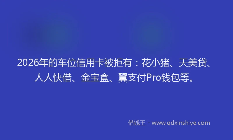 2026年的车位信用卡被拒有：花小猪、天美贷、人人快借、金宝盒、翼支付Pro钱包等。