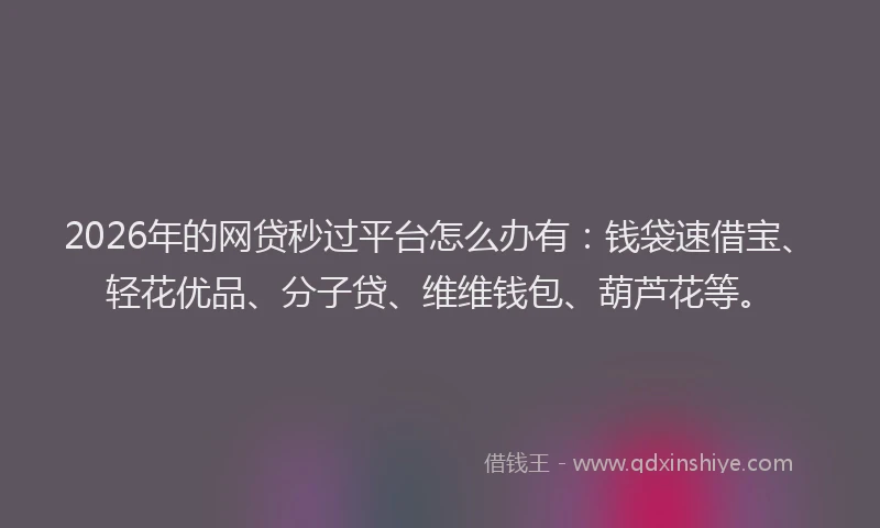 2026年的网贷秒过平台怎么办有：钱袋速借宝、轻花优品、分子贷、维维钱包、葫芦花等。