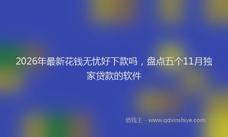 2026年最新花钱无忧好下款吗，盘点五个11月独家贷款的软件