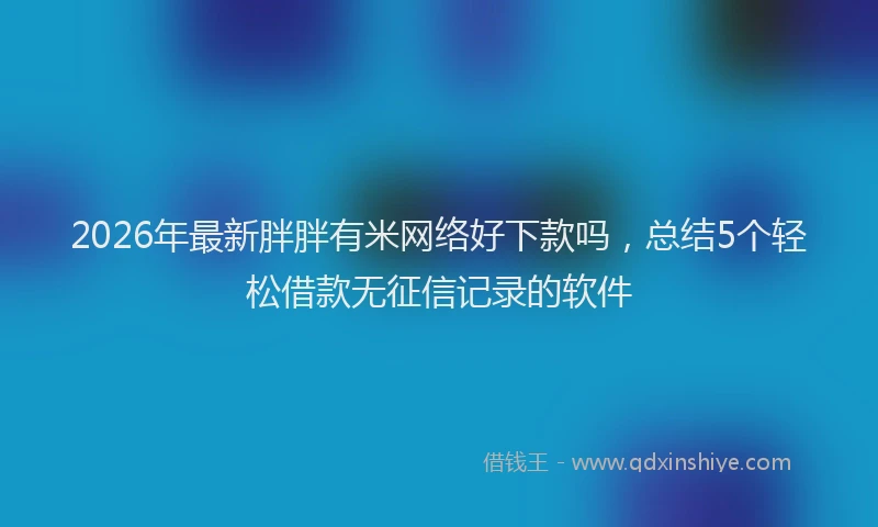 2026年最新胖胖有米网络好下款吗，总结5个轻松借款无征信记录的软件