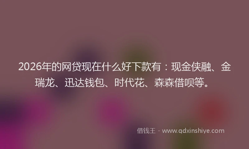2026年的网贷现在什么好下款有：现金侠融、金瑞龙、迅达钱包、时代花、森森借呗等。