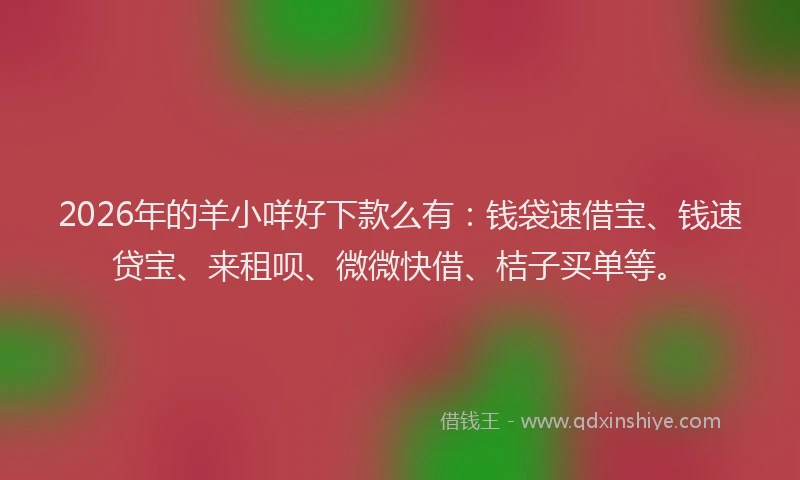 2026年的羊小咩好下款么有：钱袋速借宝、钱速贷宝、来租呗、微微快借、桔子买单等。