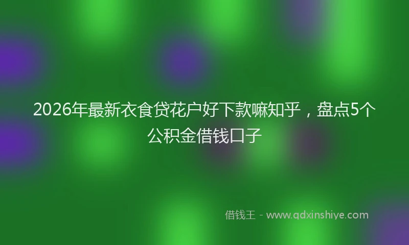 2026年最新衣食贷花户好下款嘛知乎，盘点5个公积金借钱口子