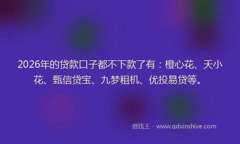 2026年的贷款口子都不下款了有：橙心花、天小花、甄信贷宝、九梦租机、优投易贷等。