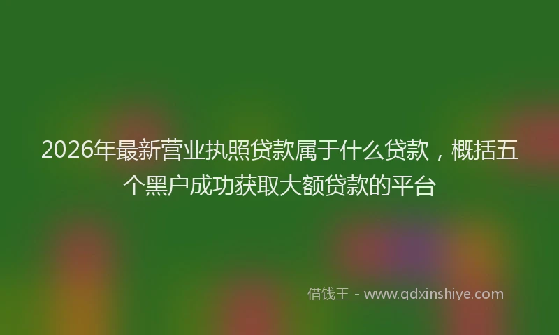 2026年最新营业执照贷款属于什么贷款，概括五个黑户成功获取大额贷款的平台