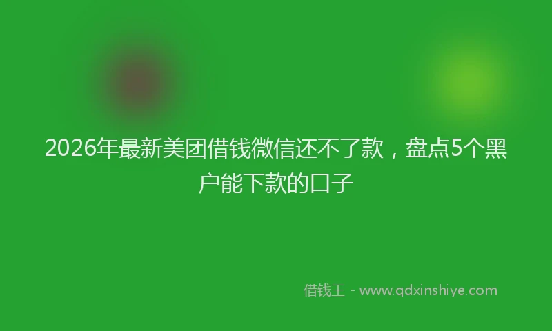 2026年最新美团借钱微信还不了款，盘点5个黑户能下款的口子