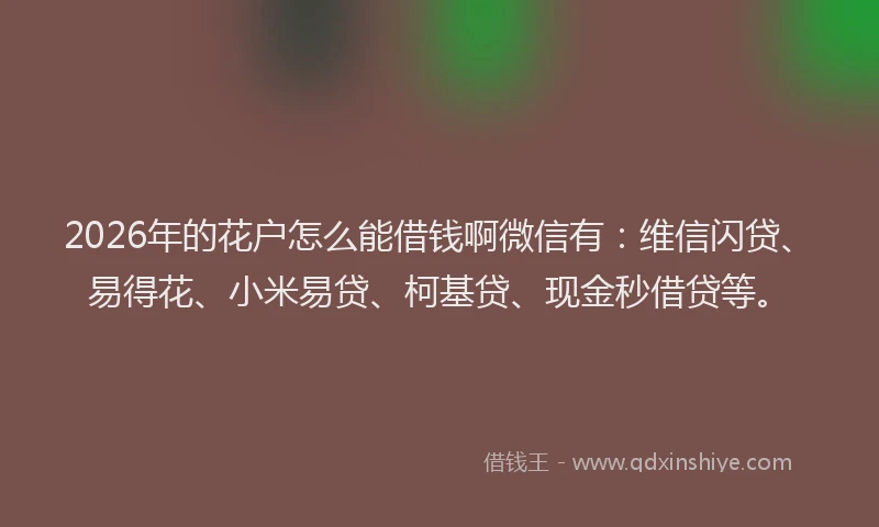 2026年的花户怎么能借钱啊微信有：维信闪贷、易得花、小米易贷、柯基贷、现金秒借贷等。