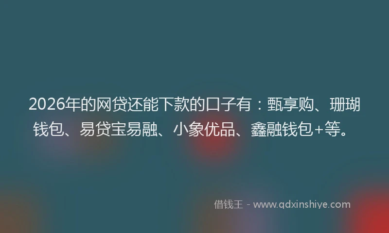2026年的网贷还能下款的口子有：甄享购、珊瑚钱包、易贷宝易融、小象优品、鑫融钱包+等。